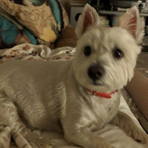 Meet your Posher, Jane